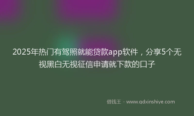 2025年热门有驾照就能贷款app软件，分享5个无视黑白无视征信申请就下款的口子