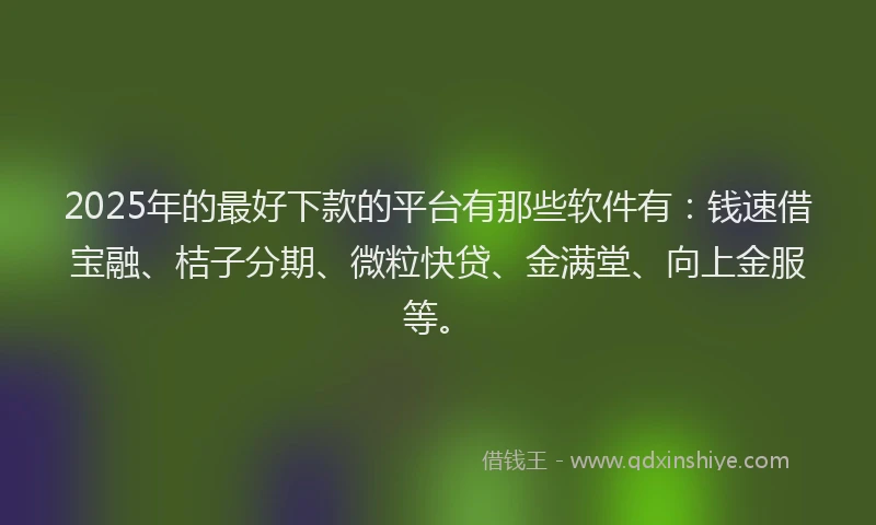 2025年的最好下款的平台有那些软件有：钱速借宝融、桔子分期、微粒快贷、金满堂、向上金服等。