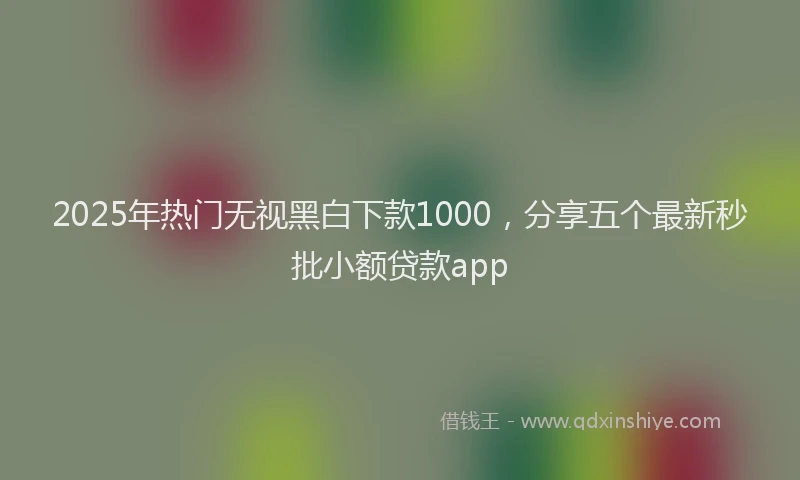 2025年热门无视黑白下款1000，分享五个最新秒批小额贷款app