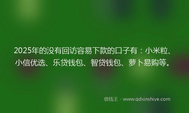 2025年的没有回访容易下款的口子有：小米粒、小信优选、乐贷钱包、智贷钱包、萝卜易购等。