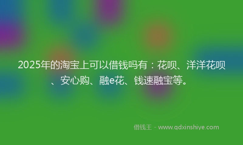 2025年的淘宝上可以借钱吗有：花呗、洋洋花呗、安心购、融e花、钱速融宝等。