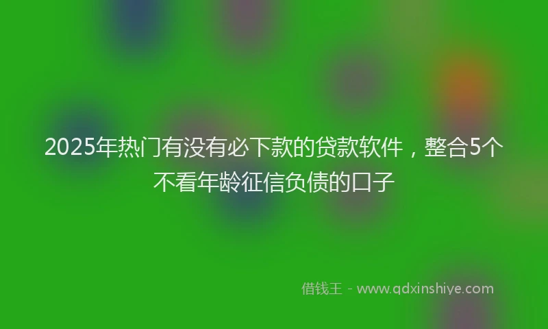 2025年热门有没有必下款的贷款软件，整合5个不看年龄征信负债的口子