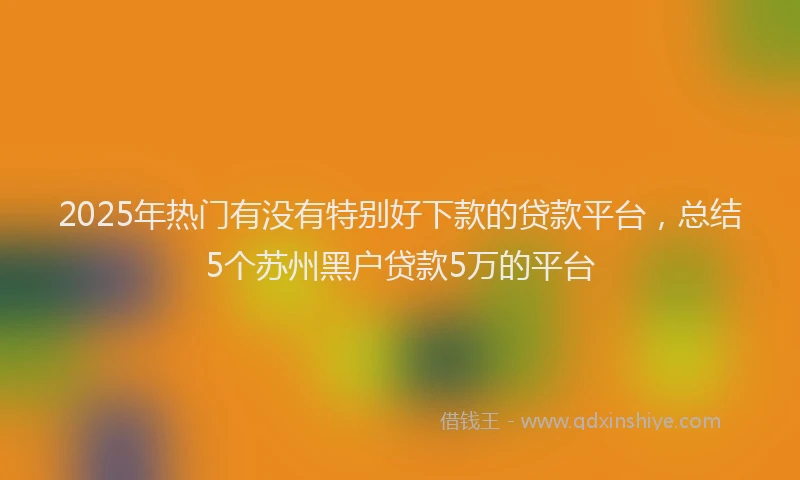 2025年热门有没有特别好下款的贷款平台，总结5个苏州黑户贷款5万的平台