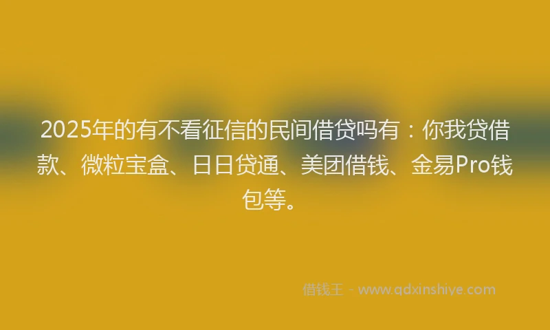 2025年的有不看征信的民间借贷吗有：你我贷借款、微粒宝盒、日日贷通、美团借钱、金易Pro钱包等。