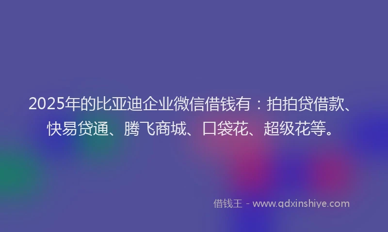 2025年的比亚迪企业微信借钱有：拍拍贷借款、快易贷通、腾飞商城、口袋花、超级花等。