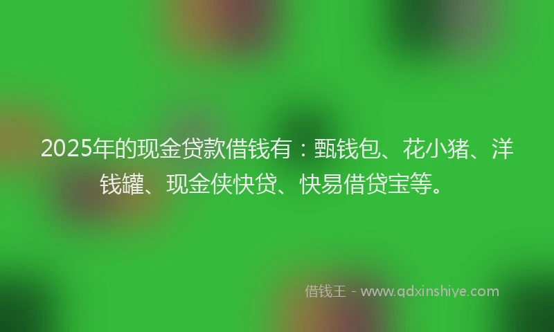 2025年的现金贷款借钱有：甄钱包、花小猪、洋钱罐、现金侠快贷、快易借贷宝等。