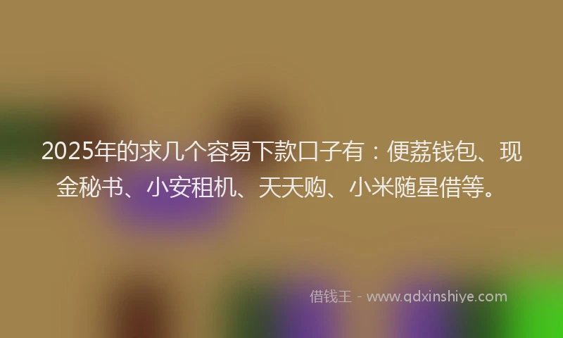 2025年的求几个容易下款口子有：便荔钱包、现金秘书、小安租机、天天购、小米随星借等。