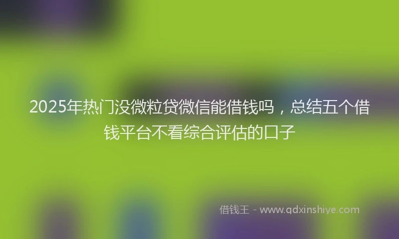 2025年热门没微粒贷微信能借钱吗，总结五个借钱平台不看综合评估的口子