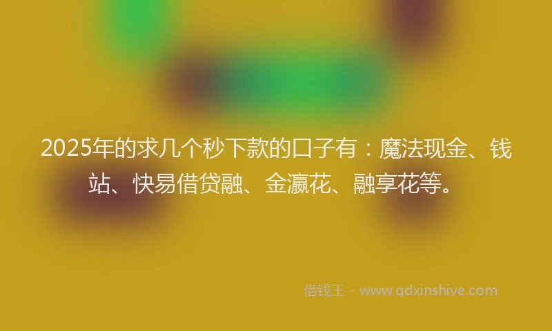 2025年的求几个秒下款的口子有：魔法现金、钱站、快易借贷融、金瀛花、融享花等。