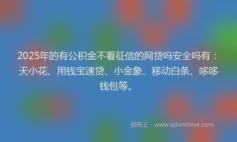 2025年的有公积金不看征信的网贷吗安全吗有：天小花、用钱宝速贷、小金象、移动白条、哆哆钱包等。