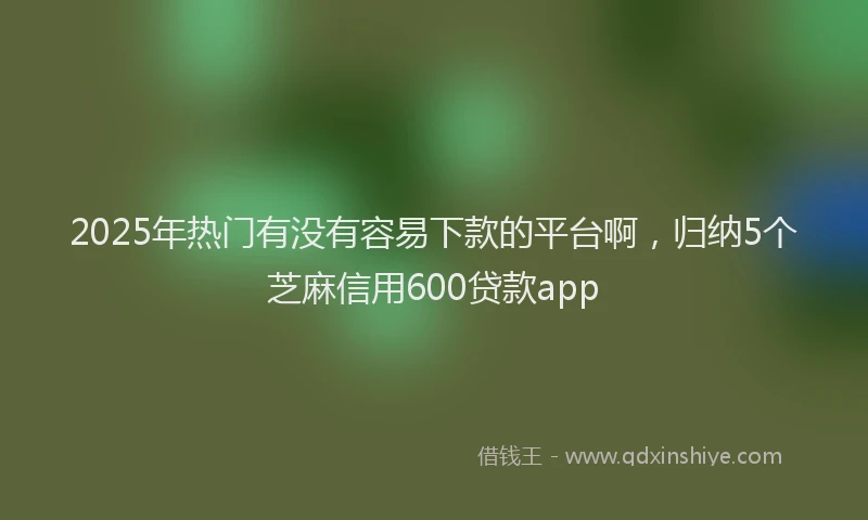 2025年热门有没有容易下款的平台啊，归纳5个芝麻信用600贷款app