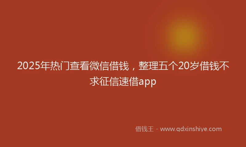 2025年热门查看微信借钱，整理五个20岁借钱不求征信速借app