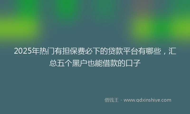 2025年热门有担保费必下的贷款平台有哪些，汇总五个黑户也能借款的口子