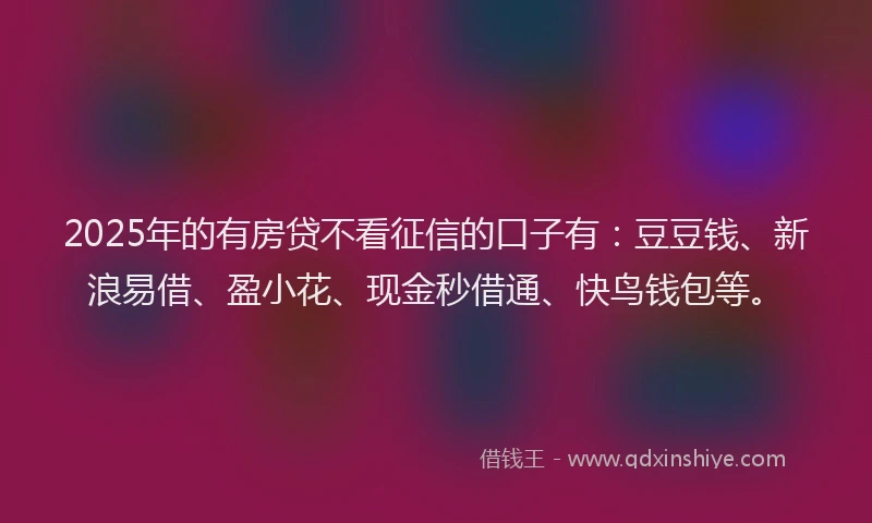 2025年的有房贷不看征信的口子有：豆豆钱、新浪易借、盈小花、现金秒借通、快鸟钱包等。