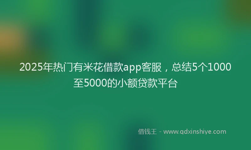 2025年热门有米花借款app客服，总结5个1000至5000的小额贷款平台