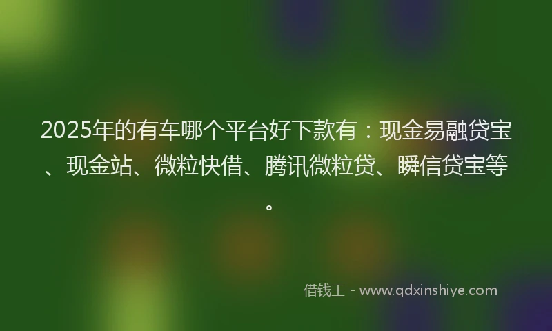 2025年的有车哪个平台好下款有：现金易融贷宝、现金站、微粒快借、腾讯微粒贷、瞬信贷宝等。