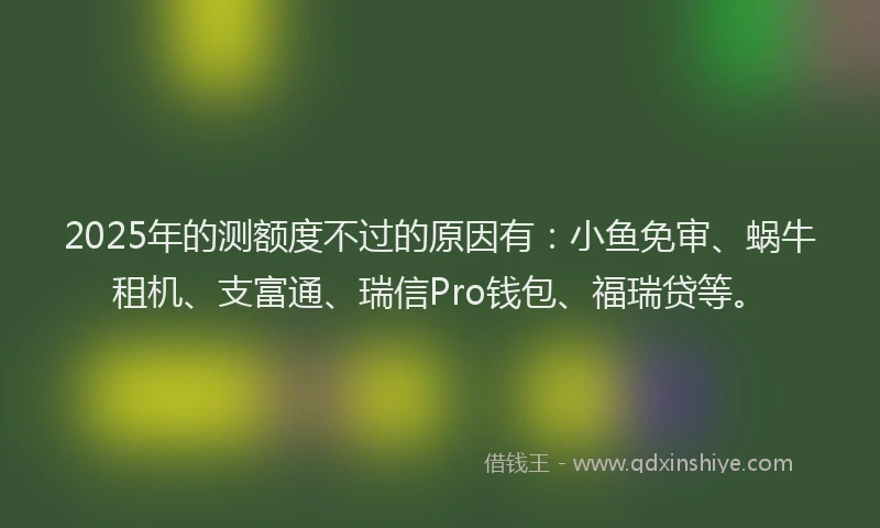 2025年的测额度不过的原因有：小鱼免审、蜗牛租机、支富通、瑞信Pro钱包、福瑞贷等。
