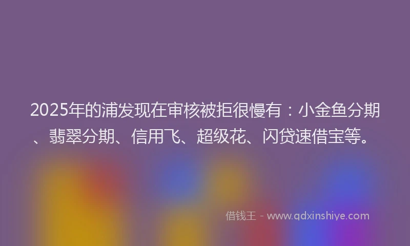 2025年的浦发现在审核被拒很慢有：小金鱼分期、翡翠分期、信用飞、超级花、闪贷速借宝等。