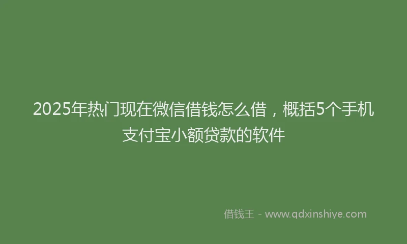 2025年热门现在微信借钱怎么借，概括5个手机支付宝小额贷款的软件