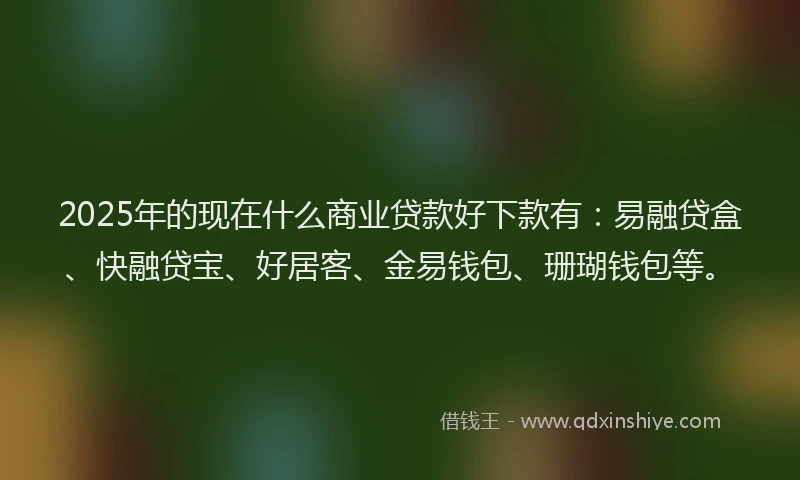 2025年的现在什么商业贷款好下款有：易融贷盒、快融贷宝、好居客、金易钱包、珊瑚钱包等。