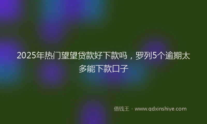 2025年热门望望贷款好下款吗，罗列5个逾期太多能下款口子