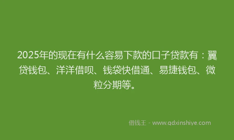 2025年的现在有什么容易下款的口子贷款有：翼贷钱包、洋洋借呗、钱袋快借通、易捷钱包、微粒分期等。