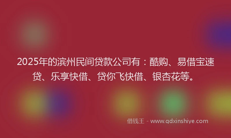 2025年的滨州民间贷款公司有：酷购、易借宝速贷、乐享快借、贷你飞快借、银杏花等。