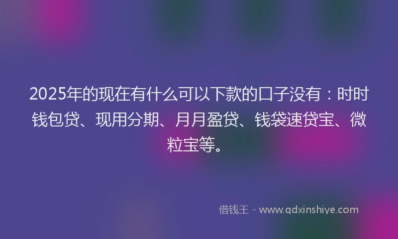2025年的现在有什么可以下款的口子没有：时时钱包贷、现用分期、月月盈贷、钱袋速贷宝、微粒宝等。