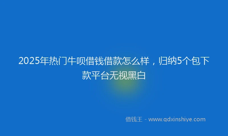 2025年热门牛呗借钱借款怎么样，归纳5个包下款平台无视黑白