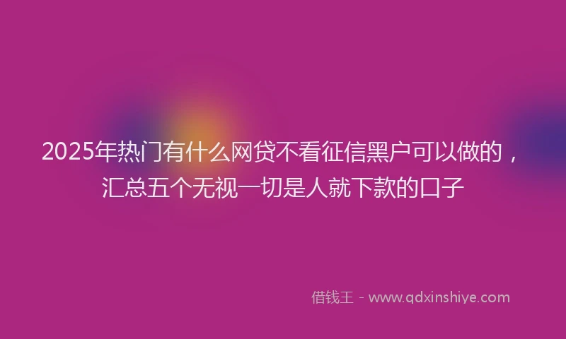 2025年热门有什么网贷不看征信黑户可以做的，汇总五个无视一切是人就下款的口子