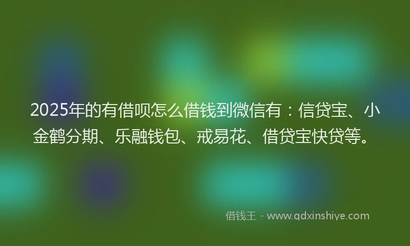 2025年的有借呗怎么借钱到微信有：信贷宝、小金鹤分期、乐融钱包、戒易花、借贷宝快贷等。