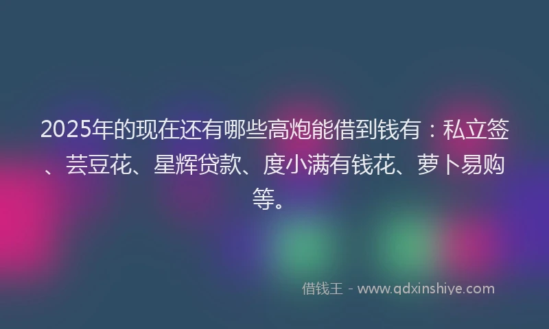 2025年的现在还有哪些高炮能借到钱有：私立签、芸豆花、星辉贷款、度小满有钱花、萝卜易购等。