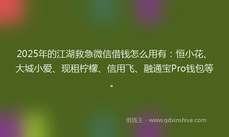 2025年的江湖救急微信借钱怎么用有：恒小花、大城小爱、现租柠檬、信用飞、融通宝Pro钱包等。