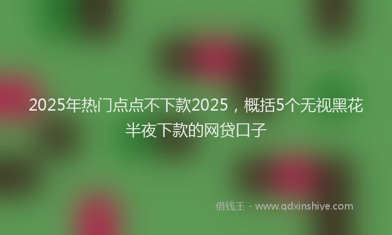 2025年热门点点不下款2025，概括5个无视黑花半夜下款的网贷口子
