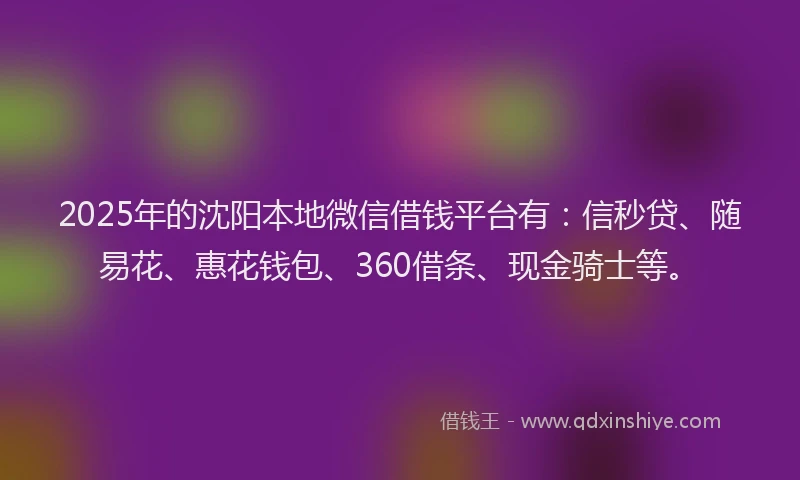2025年的沈阳本地微信借钱平台有：信秒贷、随易花、惠花钱包、360借条、现金骑士等。