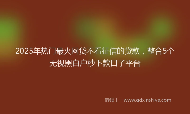 2025年热门最火网贷不看征信的贷款，整合5个无视黑白户秒下款口子平台
