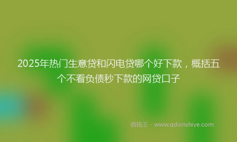 2025年热门生意贷和闪电贷哪个好下款，概括五个不看负债秒下款的网贷口子