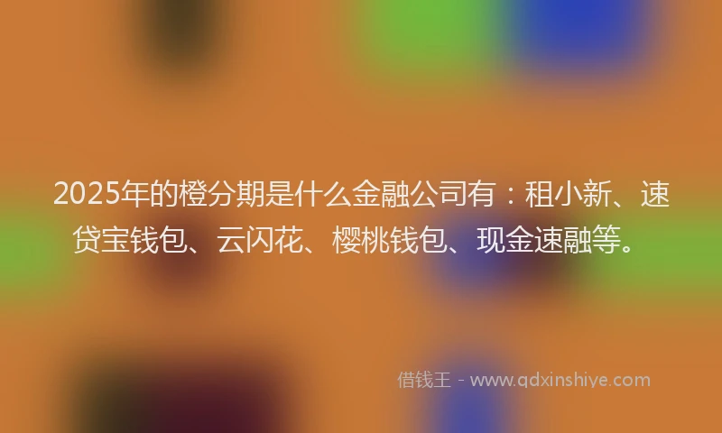 2025年的橙分期是什么金融公司有：租小新、速贷宝钱包、云闪花、樱桃钱包、现金速融等。