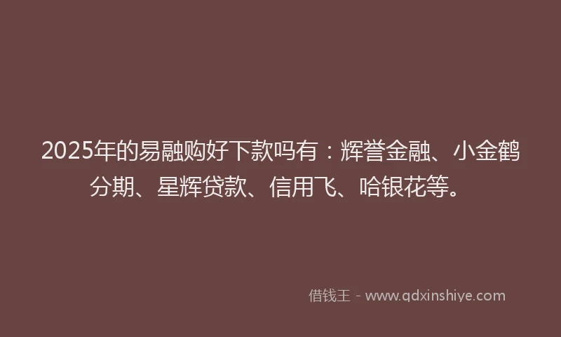 2025年的易融购好下款吗有：辉誉金融、小金鹤分期、星辉贷款、信用飞、哈银花等。