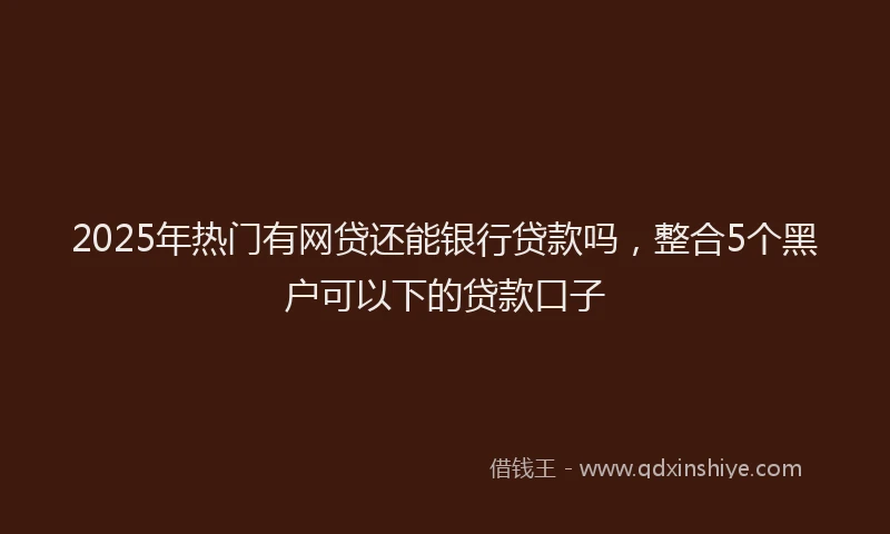 2025年热门有网贷还能银行贷款吗，整合5个黑户可以下的贷款口子