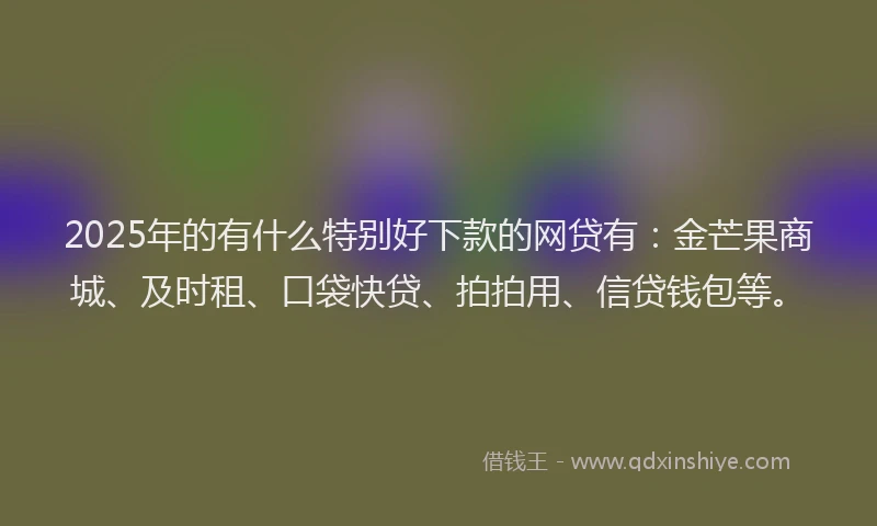 2025年的有什么特别好下款的网贷有：金芒果商城、及时租、口袋快贷、拍拍用、信贷钱包等。