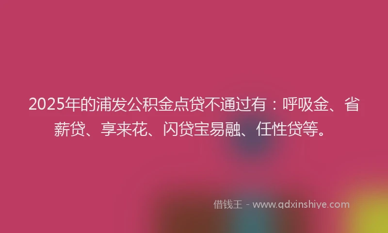 2025年的浦发公积金点贷不通过有：呼吸金、省薪贷、享来花、闪贷宝易融、任性贷等。
