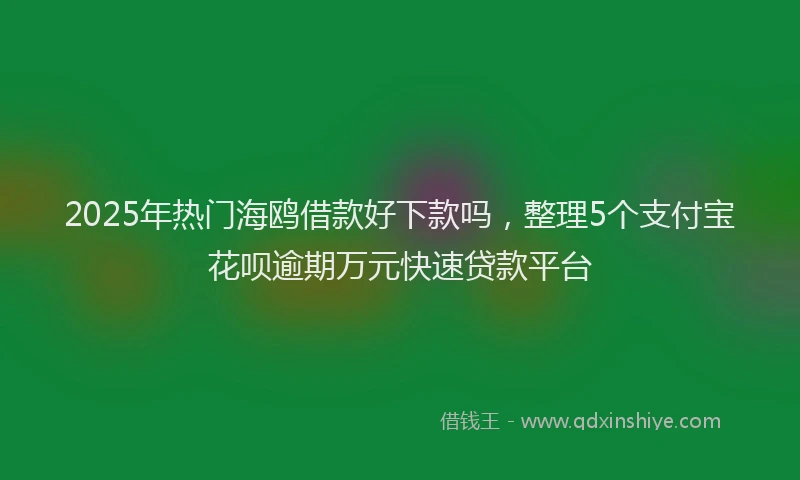 2025年热门海鸥借款好下款吗，整理5个支付宝花呗逾期万元快速贷款平台