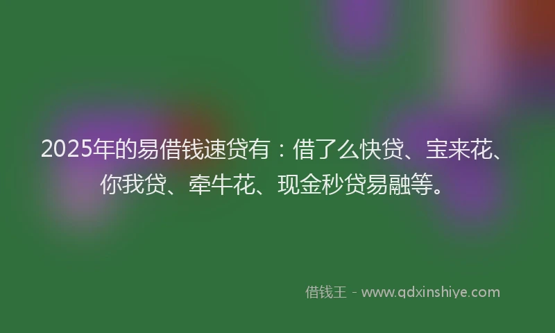 2025年的易借钱速贷有：借了么快贷、宝来花、你我贷、牵牛花、现金秒贷易融等。