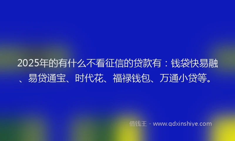 2025年的有什么不看征信的贷款有：钱袋快易融、易贷通宝、时代花、福禄钱包、万通小贷等。