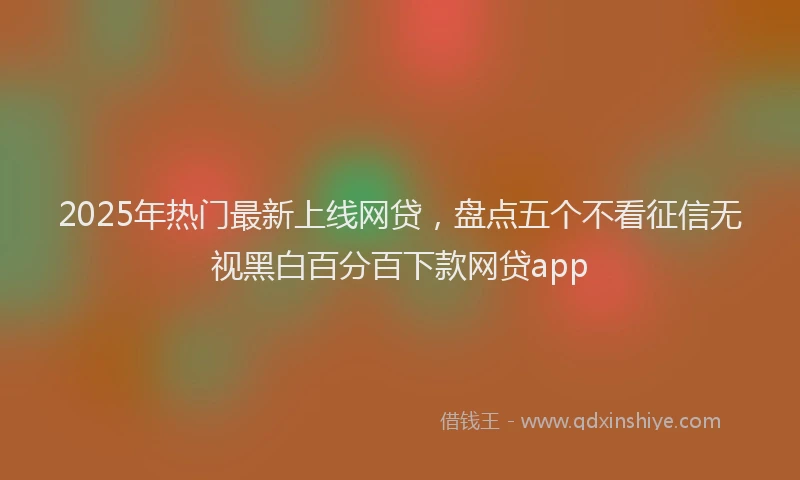 2025年热门最新上线网贷，盘点五个不看征信无视黑白百分百下款网贷app