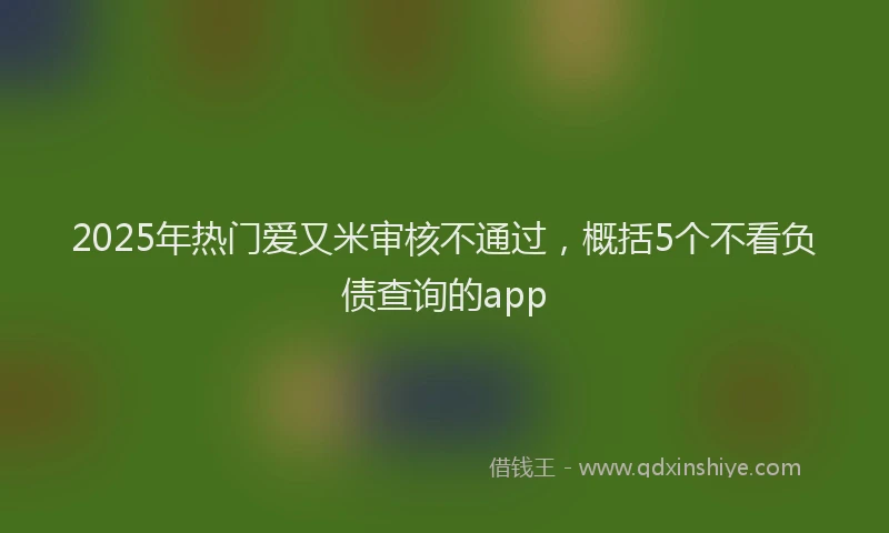 2025年热门爱又米审核不通过，概括5个不看负债查询的app