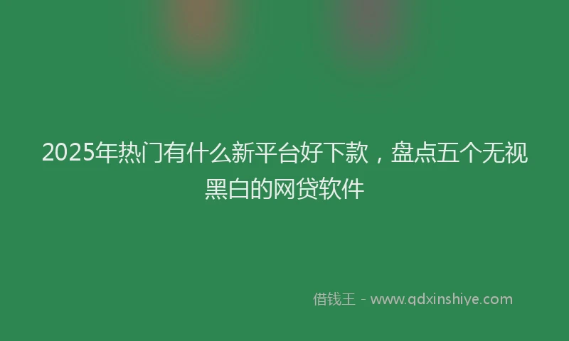 2025年热门有什么新平台好下款，盘点五个无视黑白的网贷软件