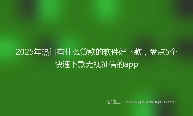 2025年热门有什么贷款的软件好下款，盘点5个快速下款无视征信的app