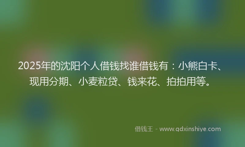 2025年的沈阳个人借钱找谁借钱有：小熊白卡、现用分期、小麦粒贷、钱来花、拍拍用等。